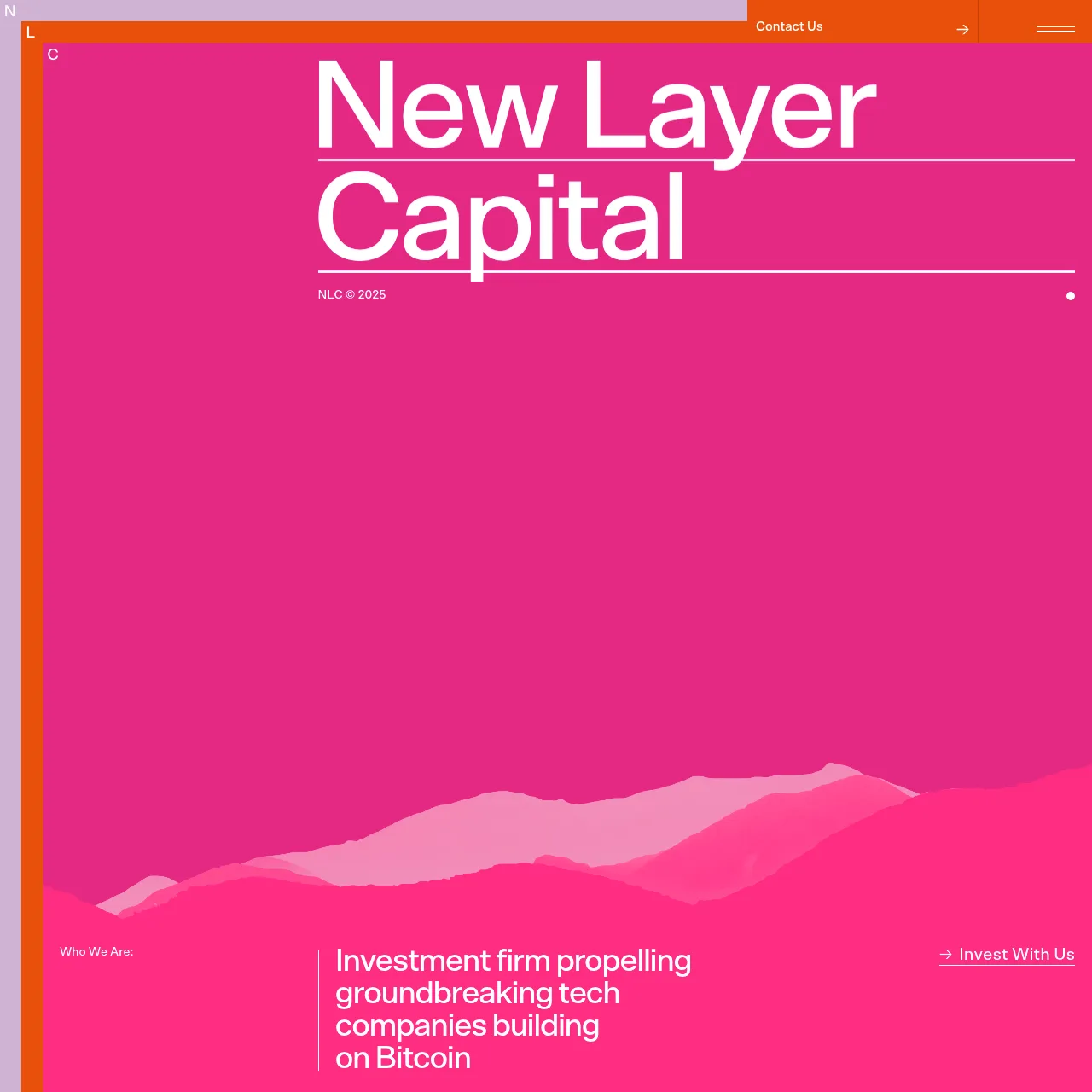 New Layer Capital website screenshot