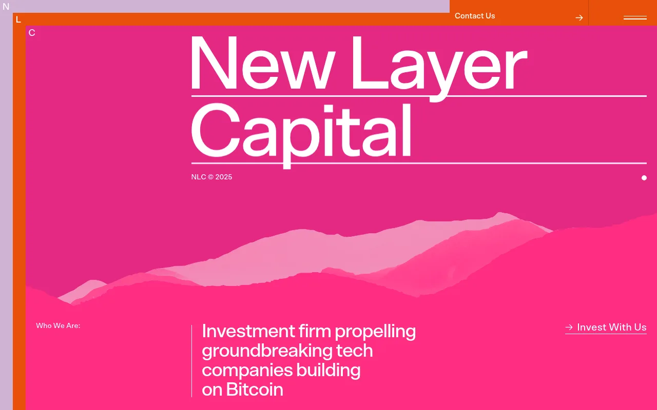 New Layer Capital landing page hero
